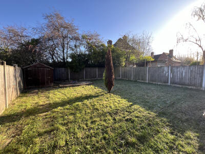 Picture 29